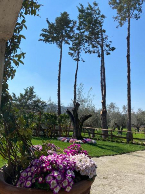 Casa Vacanza Capozzoli